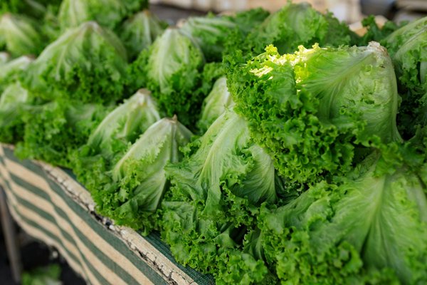 Découvrez les techniques de cuisson innovantes qui captivent les chefs aujourd'hui !