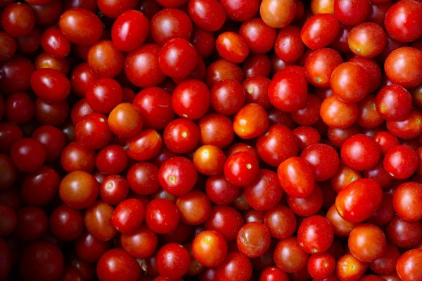 Guide Ultime : Choisir un Mixeur à Smoothies Équipé d"une Fonction Anti-Bulles d"Air