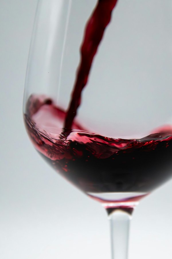 Vins bio : le choix engagé pour un terroir authentique